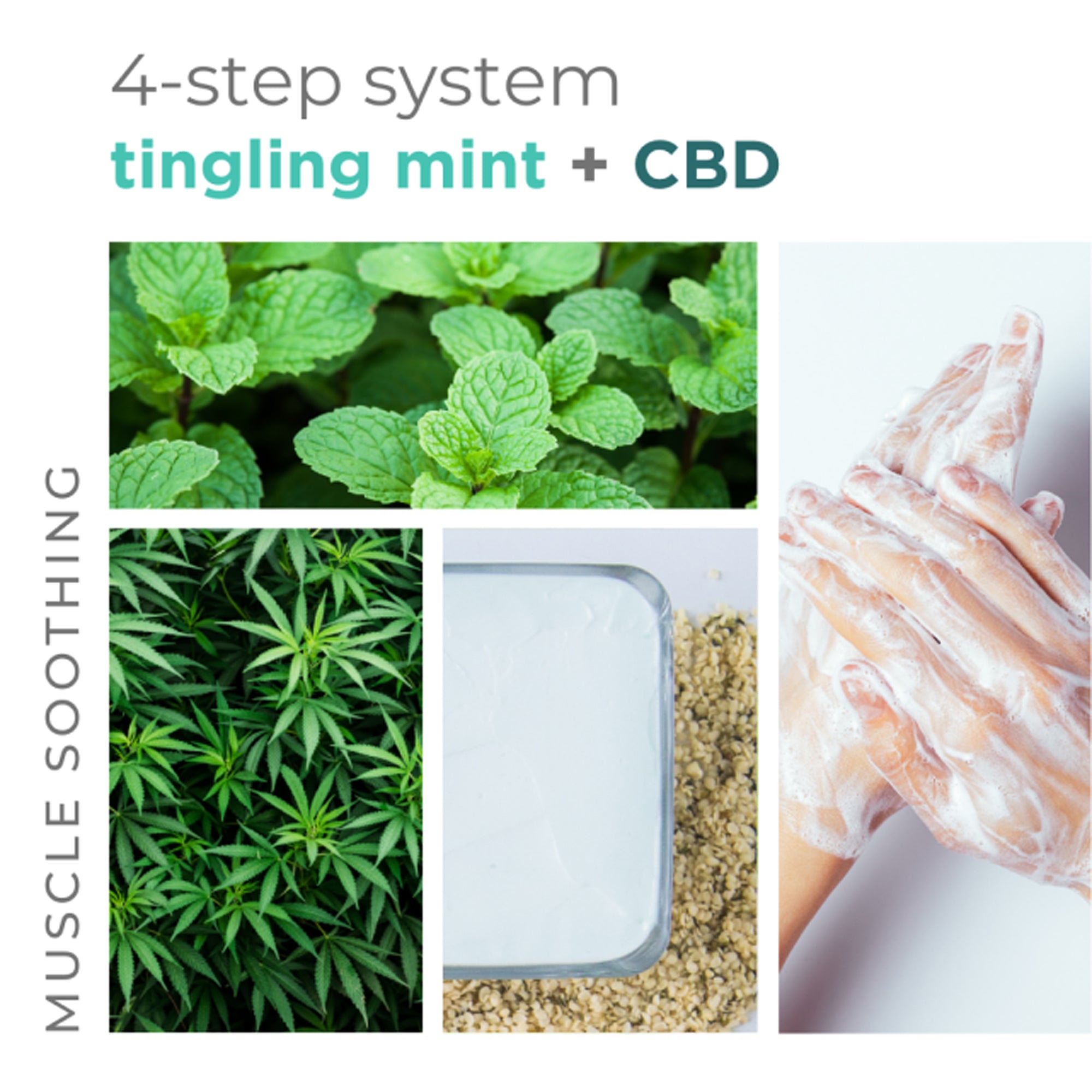 BCL Tingling Mint & CBD 4 Step Pedicure Pack promotional collage showing the four-step pedicure system