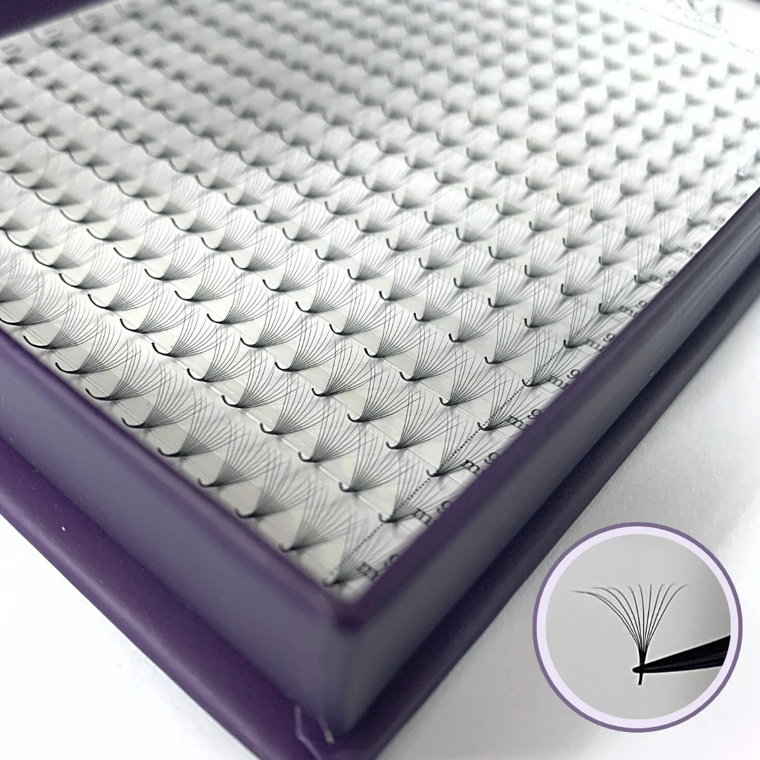 Roselisa - Promade Volume Fans - C-Curl - 8D x 13mm lash fan tray close-up