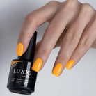 Akzentz Luxio Cabana gel color and finish