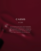 Akzentz Luxio Cassis No. 295 shade description card