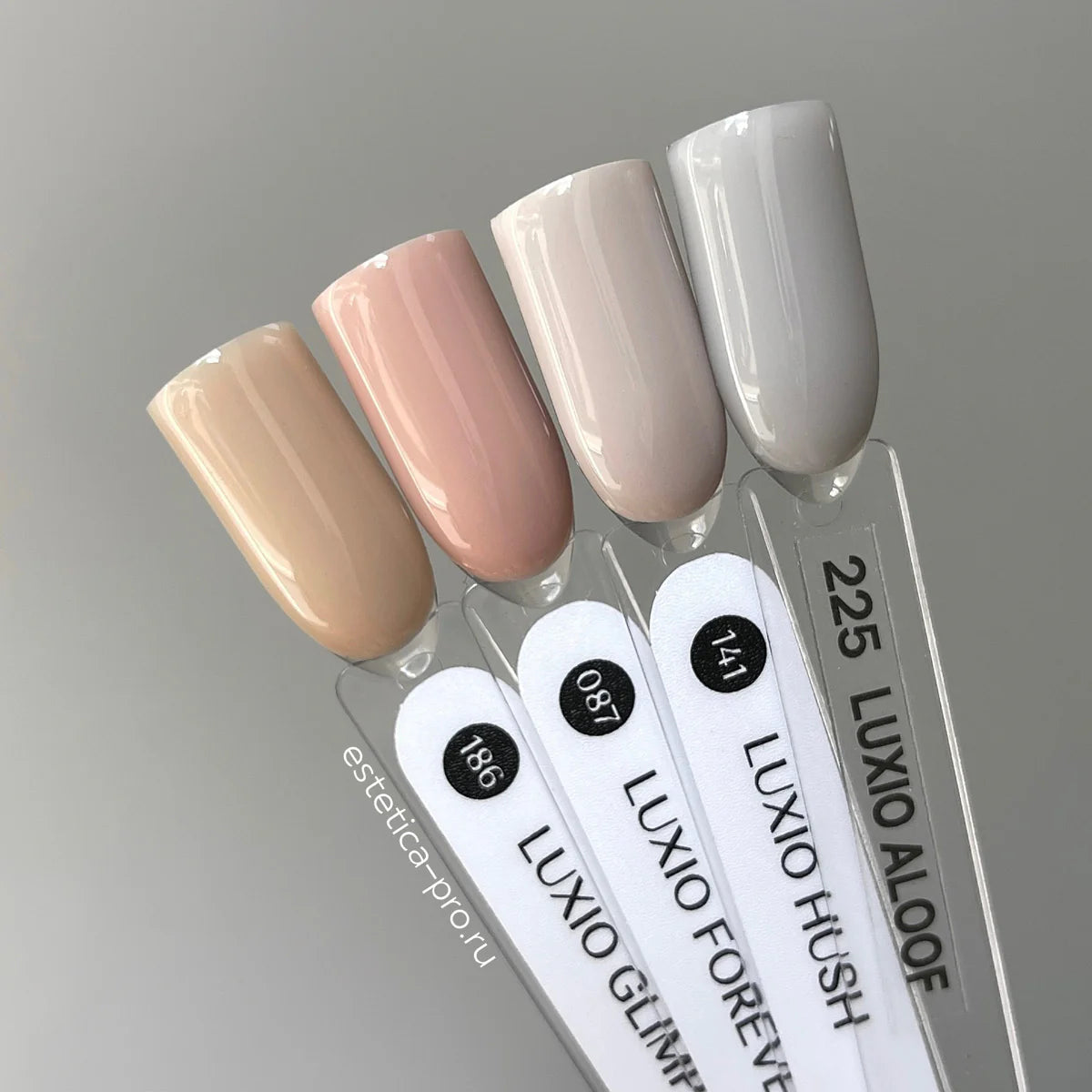 Akzentz Luxio Hush gel color and finish
