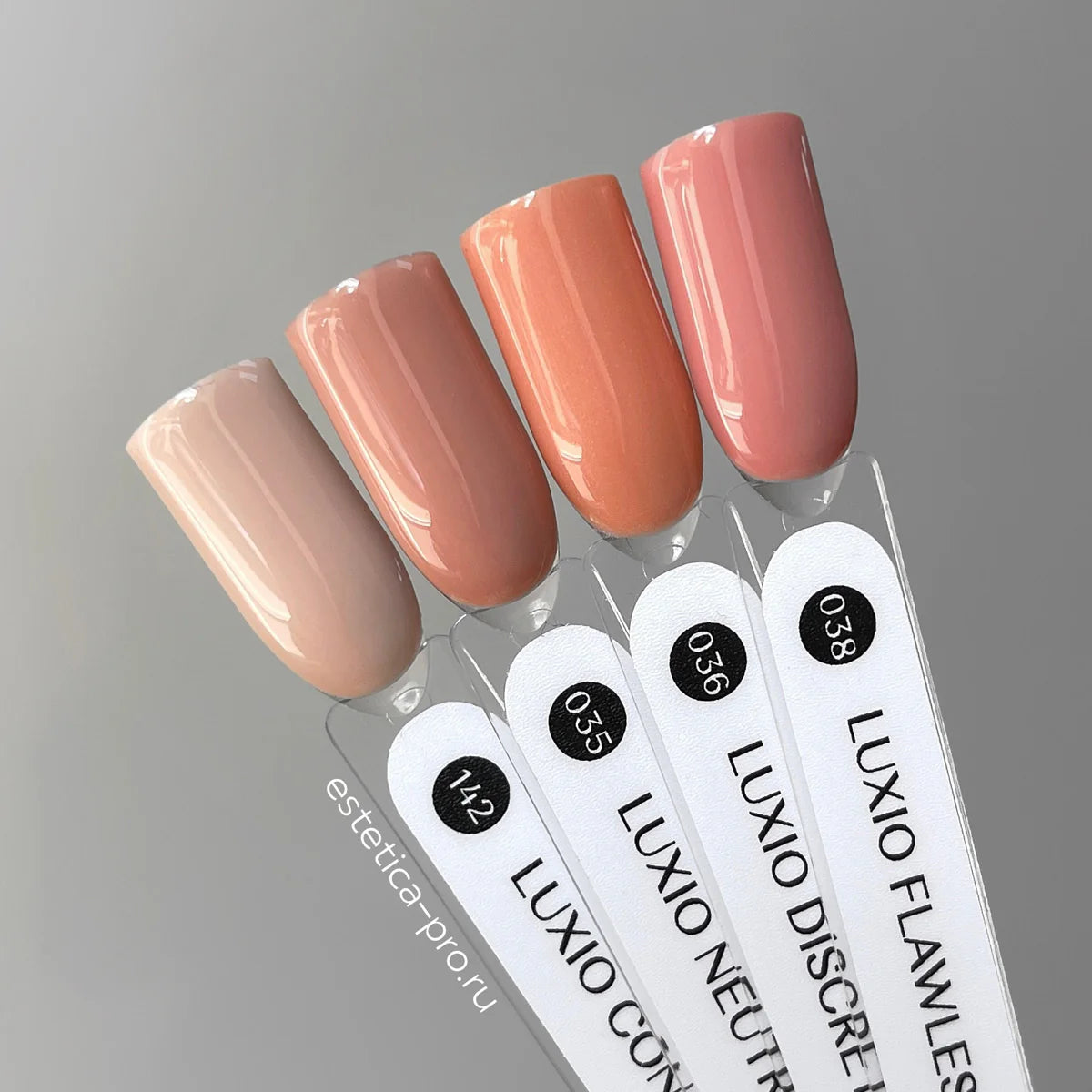 Akzentz Luxio Neutral gel color and finish