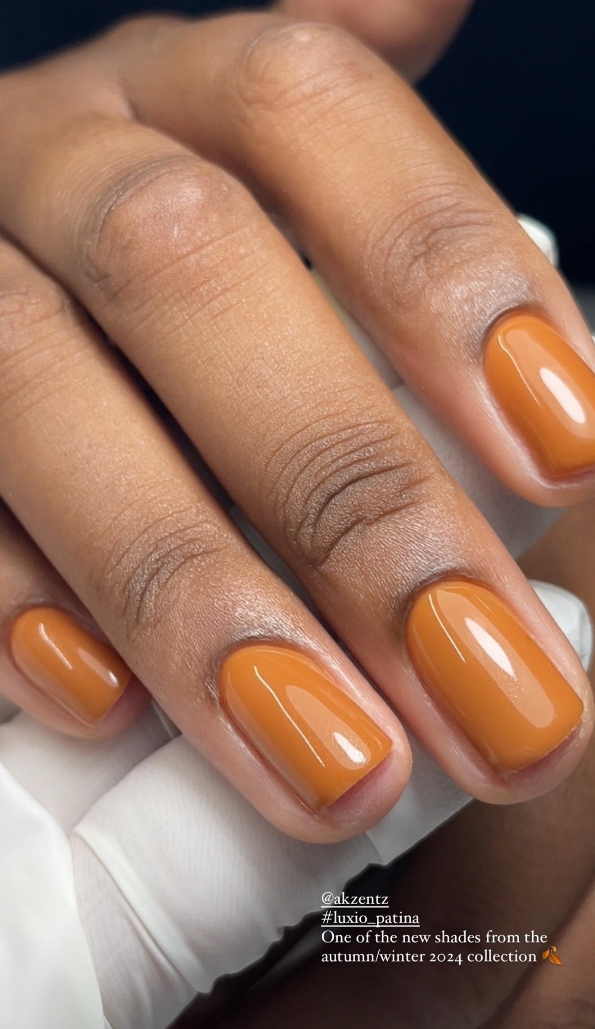 Akzentz Luxio Patina gel color and finish
