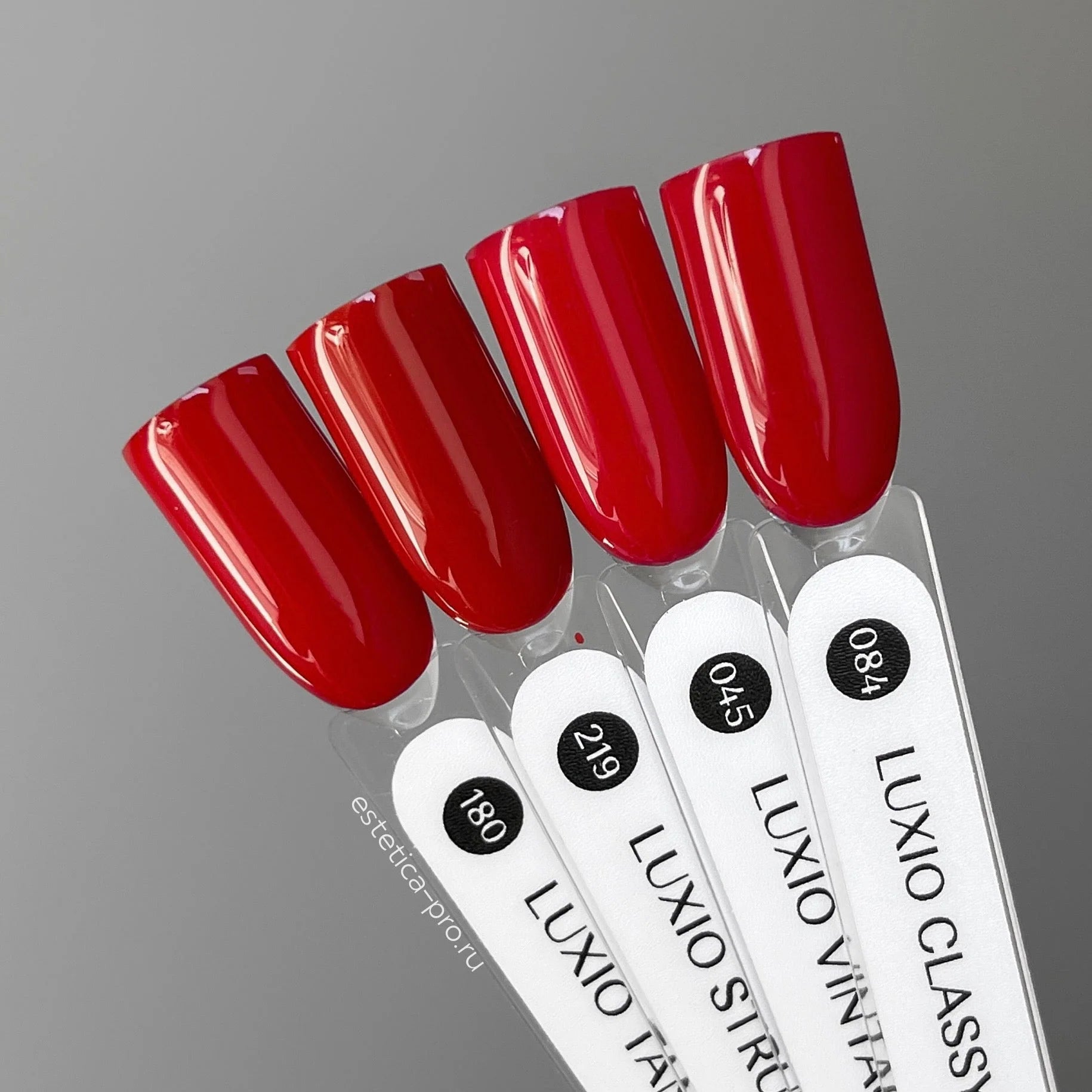 Akzentz Luxio Tantalizing shown in manufacturer color imagery