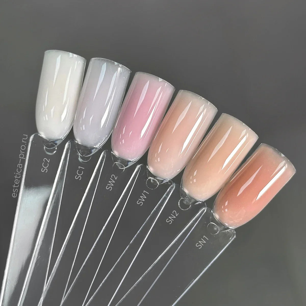 Akzentz Trinity Shades SC2, SC1, SW2, SW1, SN2, and SN1 nail swatches