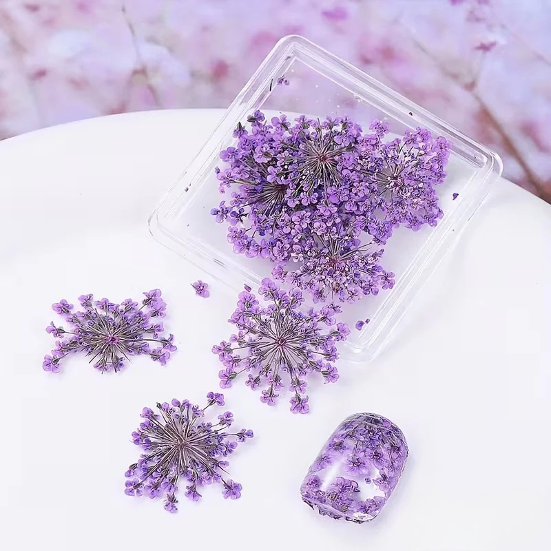 Purple dried flowers in a clear plastic case on a white surface with a blurred pink floral background.