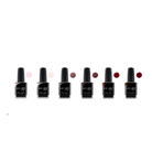 Akzentz - Luxio - Femininity Collection - Full-Size Bottles - 6pk