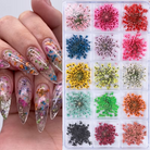 Nail art display with colorful dried flower decorations and a hand with decorated nails.